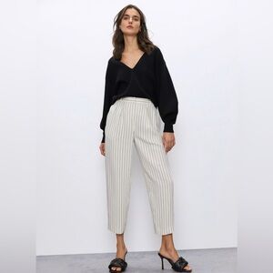 Aritzia | Babaton Modesto Pants | Bone/Black, Size 8
